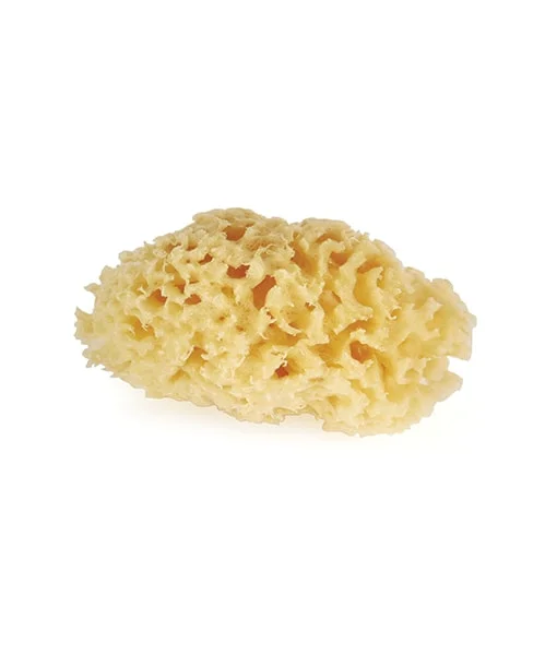 Facial cleansers everyday black-Natural Sea Sponges